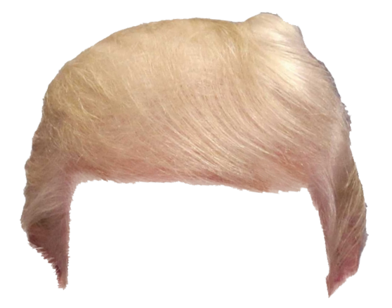 Trump Hair